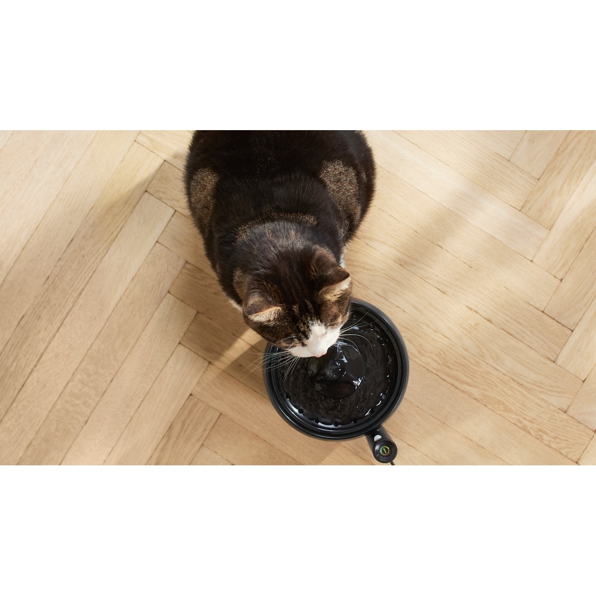 Philips Pet Series vannfontene PAW3210/02 (sort)