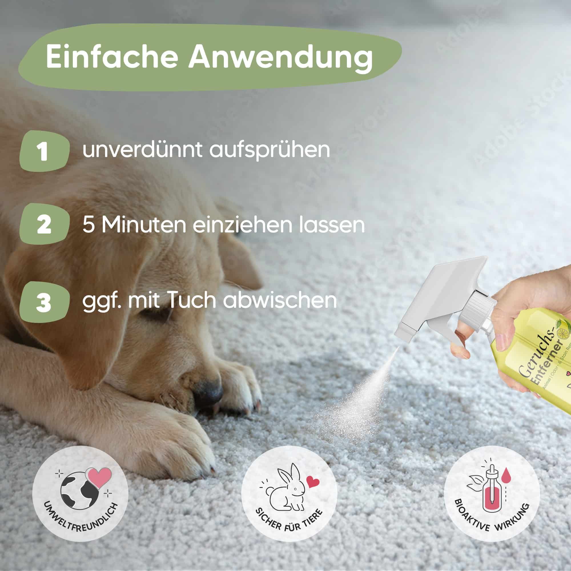 Pawlie's Geruchsneutralisierer & Enyzmreiniger Spray