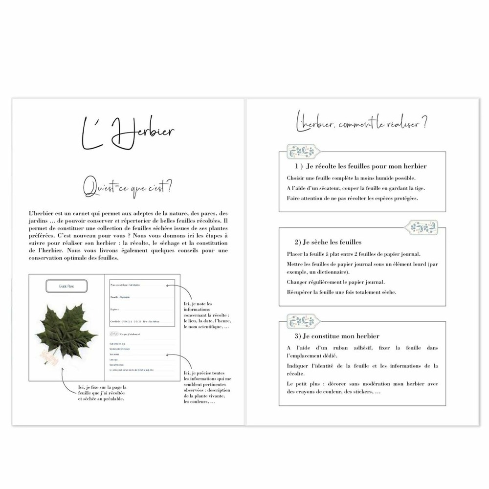 Carnet herbier a5
