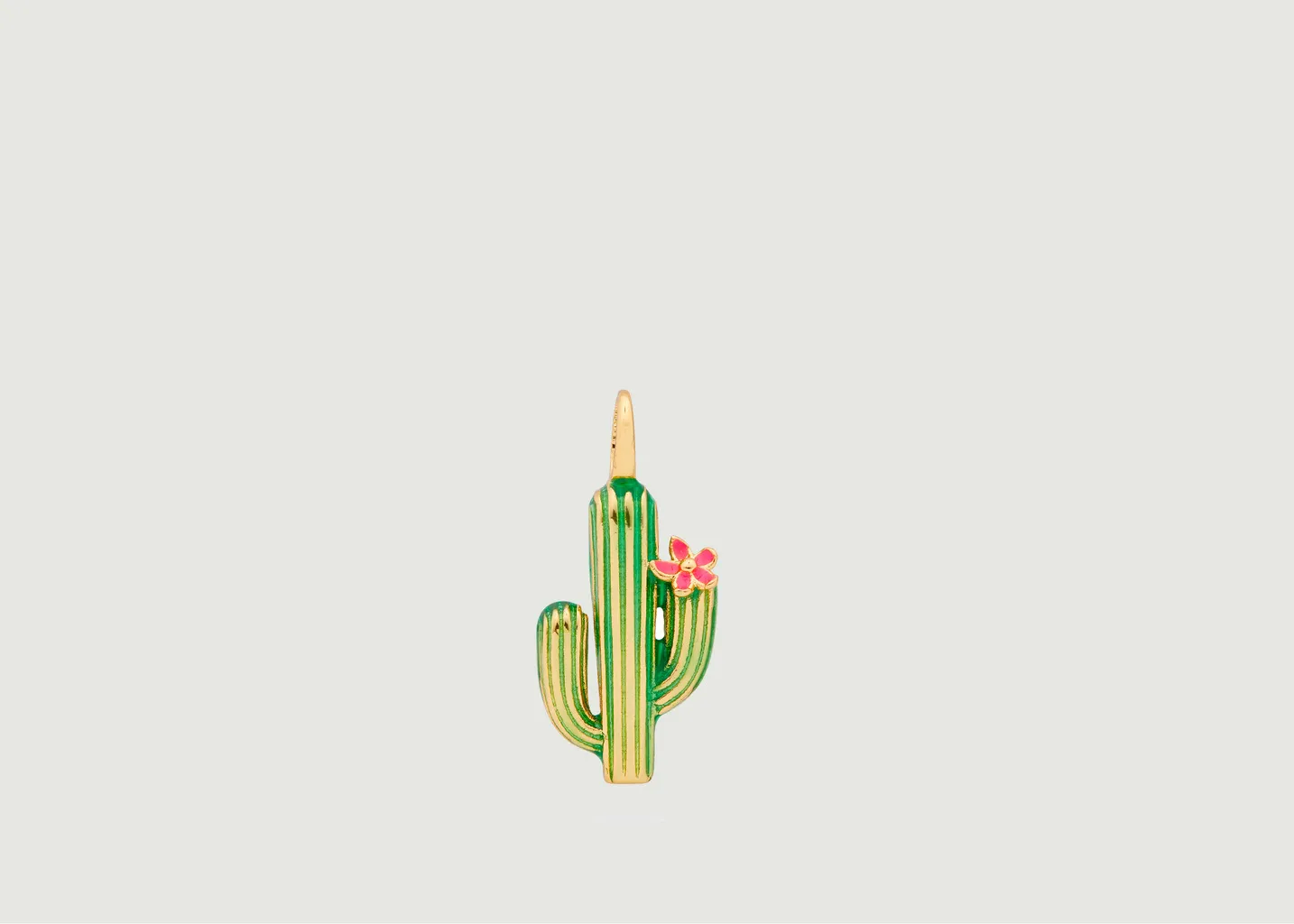 Charm's Cactus N2