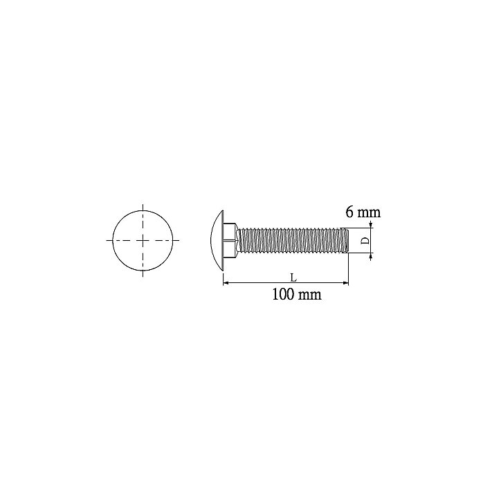 10 boulons tête ronde collet carré 6 x 100 mm