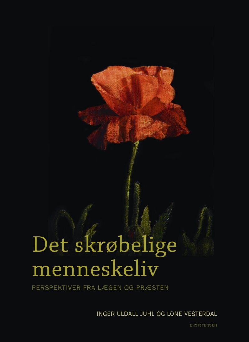 Det Skrøbelige Menneskeliv - Lone Vesterdal - Bog