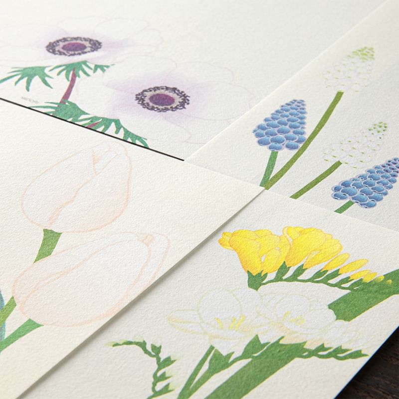 MIDORI JAPAN - Plantenprint envelop / briefpapier / ansichtkaart / set (verschillende ontwerpen)