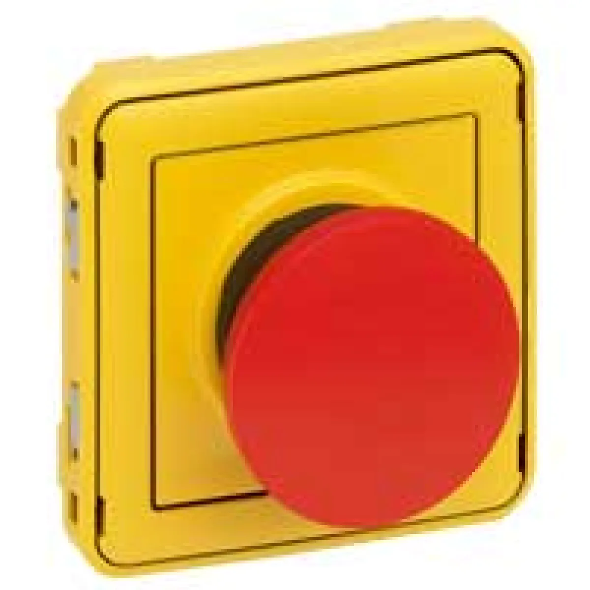 Legrand Plexo Coup de Poing