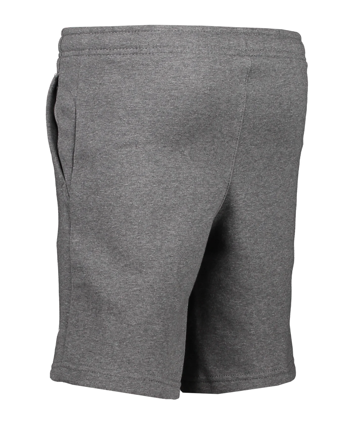 Nike Park 20 Fleece Short Kids Grau Weiss F071