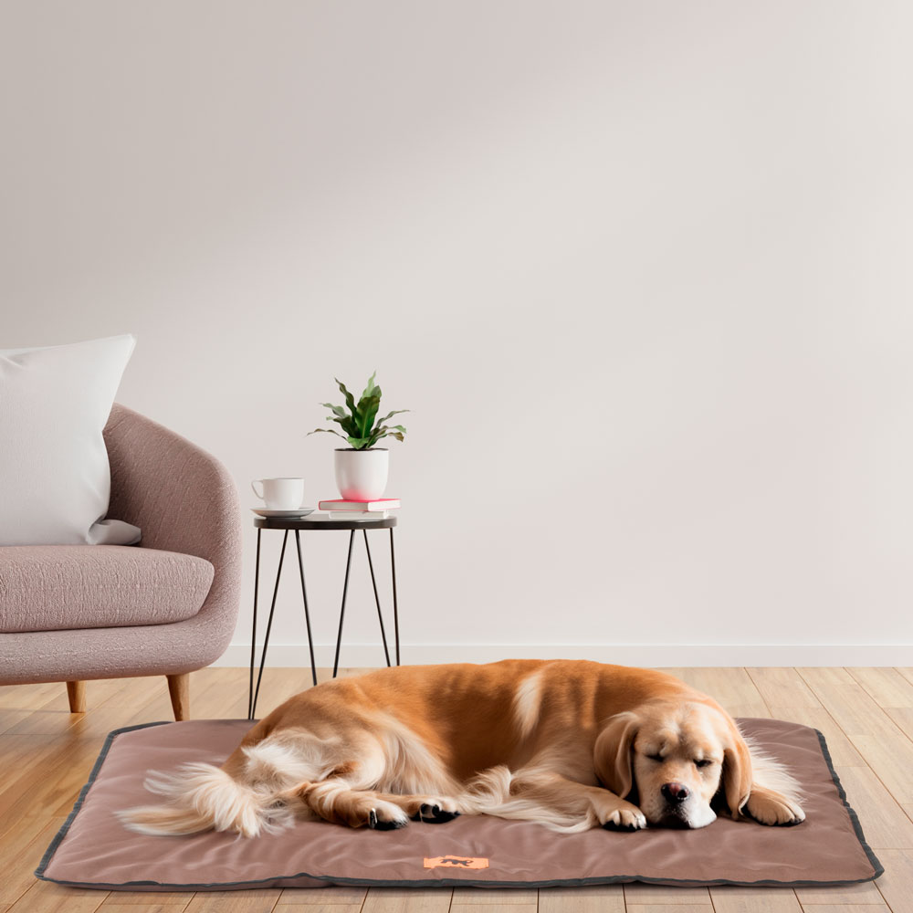 Ferplast panier pour chien chat - lit chien grand lavable - matelas chien - coussin chien chat - imperméable & anti-rayures -