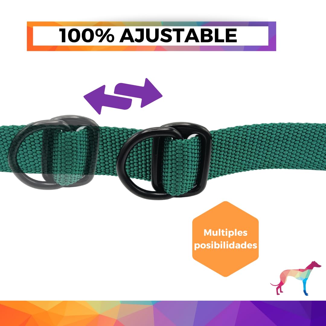 Guia para cães EGV com múltiplas posições e alça dupla de neoprene. Guia para cães que permite o uso com as mãos livres, 2,5 metros de comprimento. (Verde garrafa)