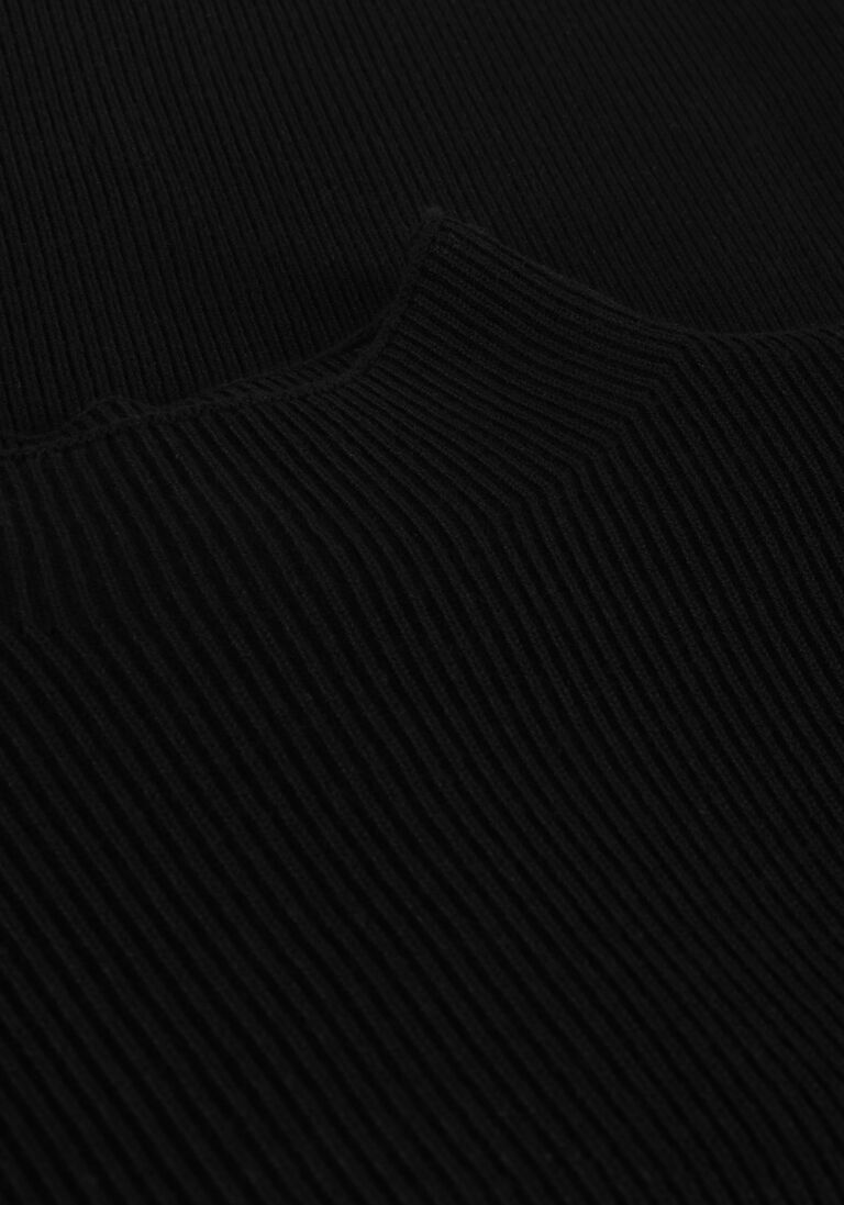 FABIENNE CHAPOT zwarte fabienne chapot trui lila pullover