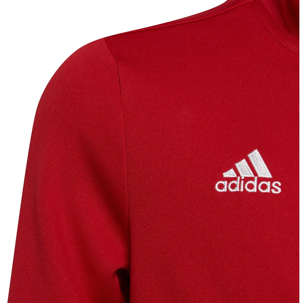 jaqueta adidas Entrada 22