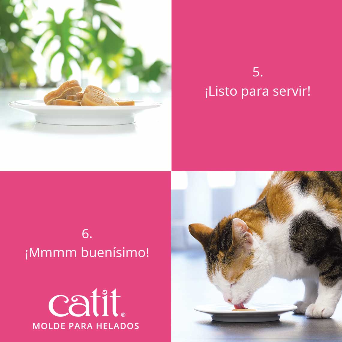 Molde para sorvete cremoso em formato de coração da Catit