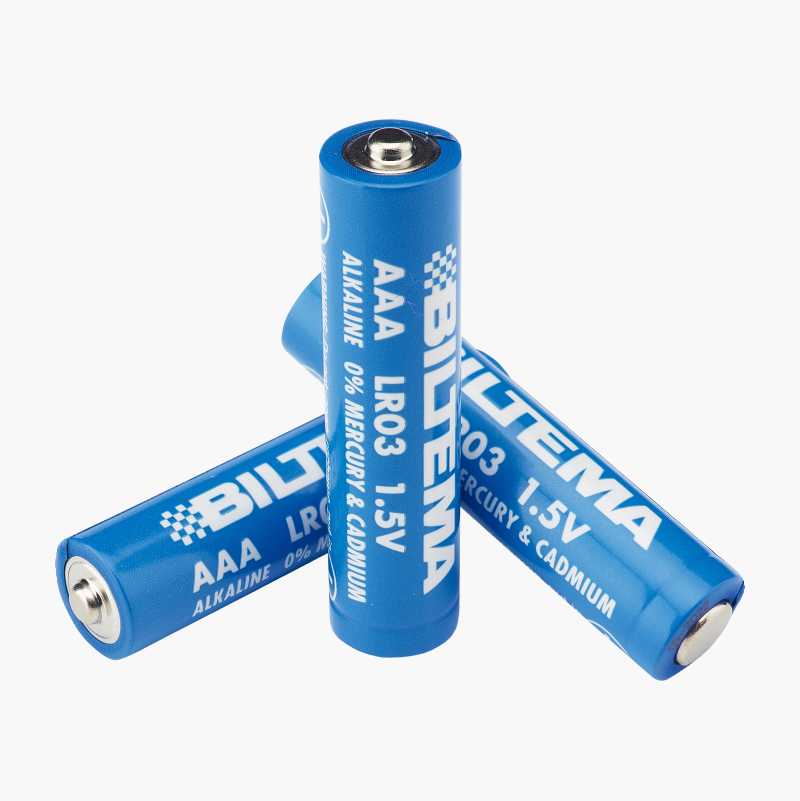 AAA/LR03 Alkalisk batteri, 10-pakning