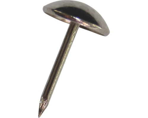 Meubelspijkers 6,5 mm vernikkeld, 60 stuks