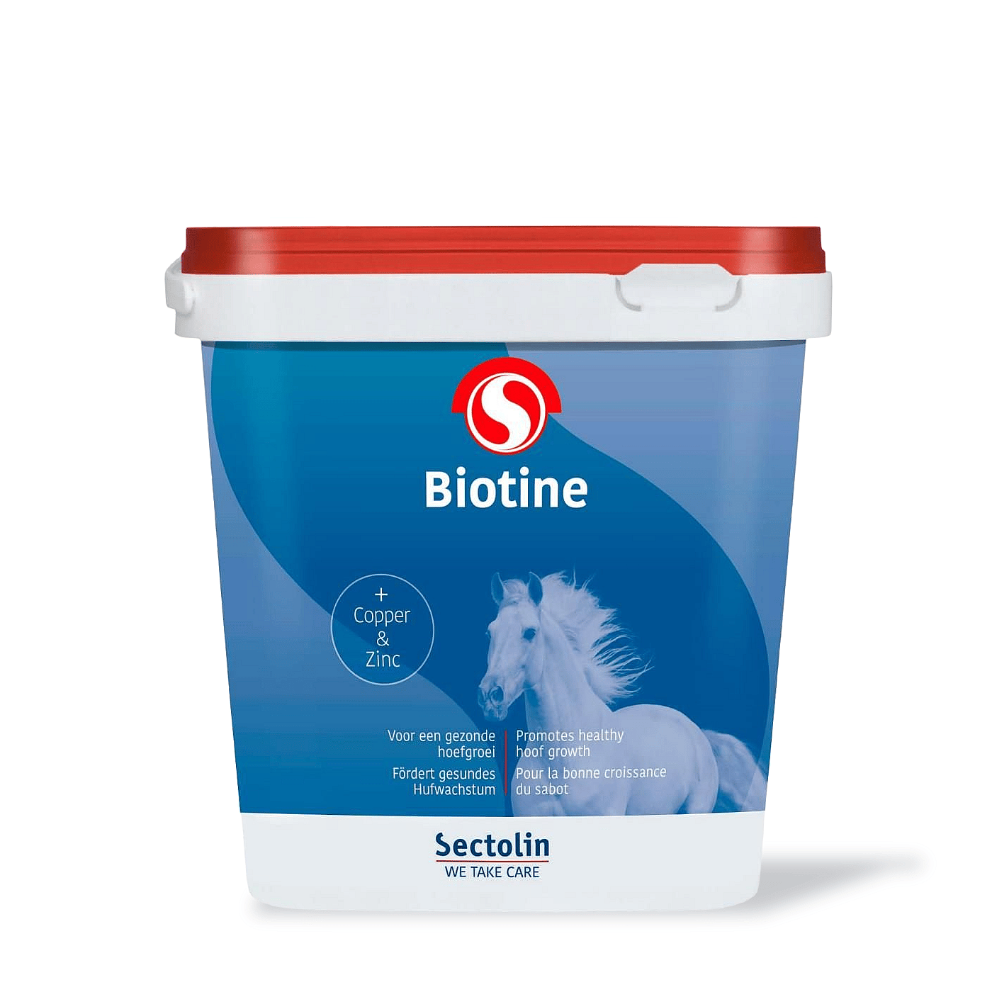 Equivital Biotine 3 kg
