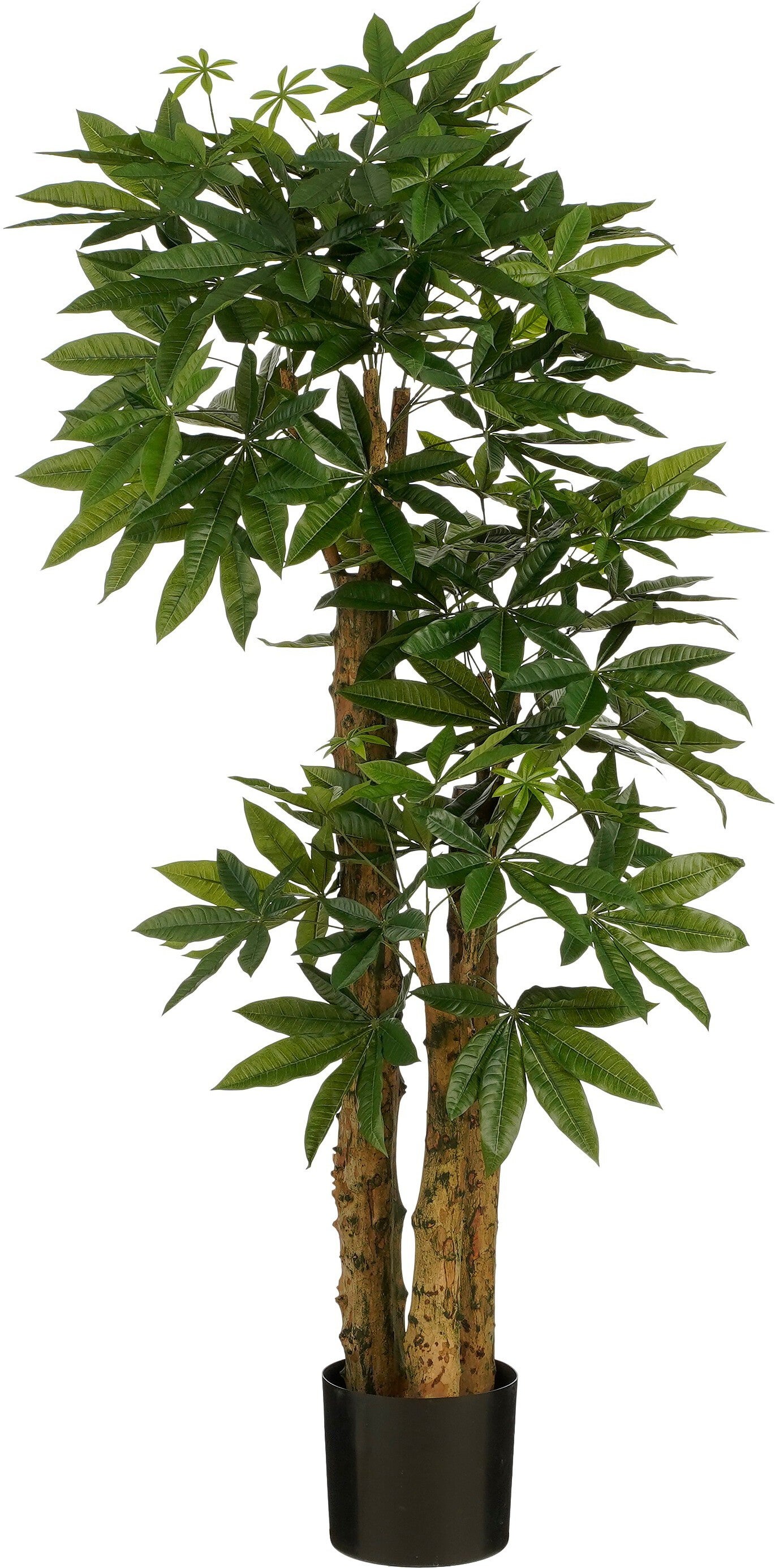 Mica Decorations kunstplant Pachira groen 85 x 85 x 175 cm