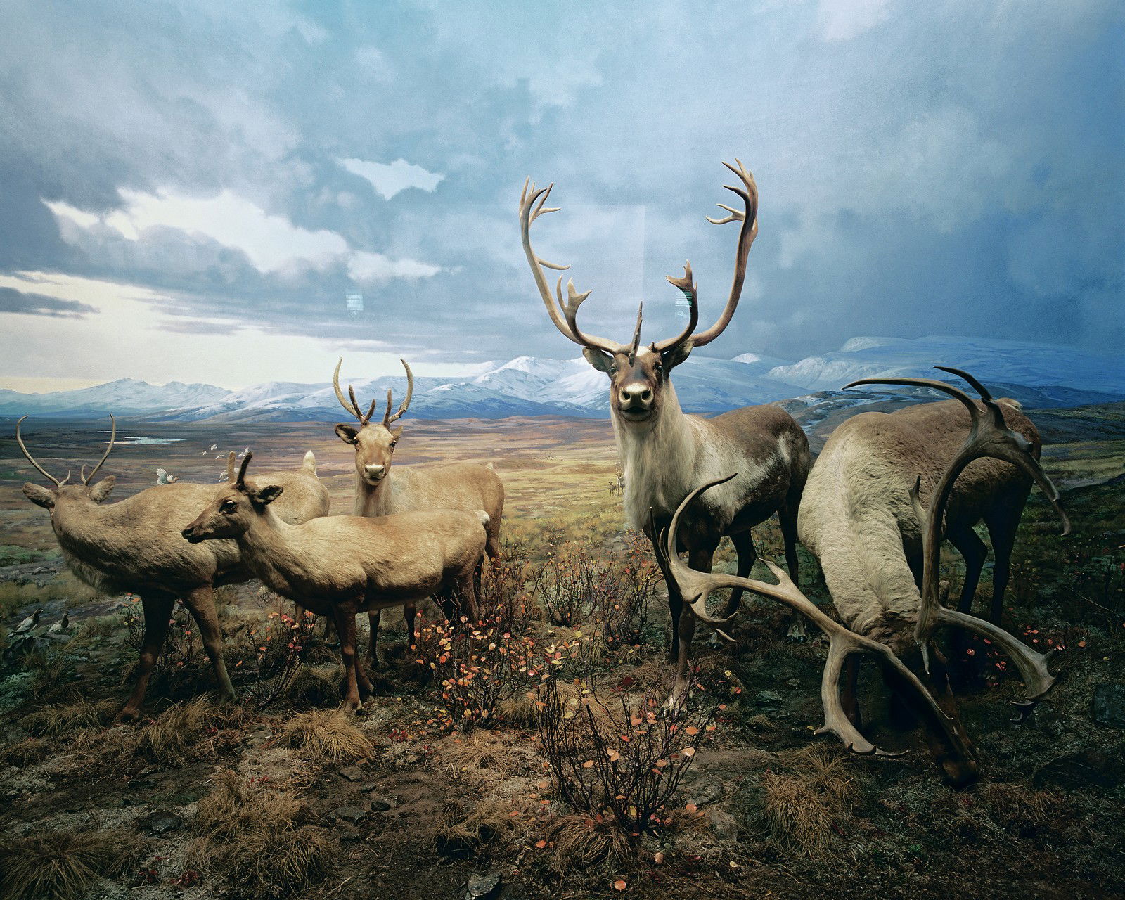 Diorama #4 by Henning Bock - Limited Edition. Edition of: 150. Signed.