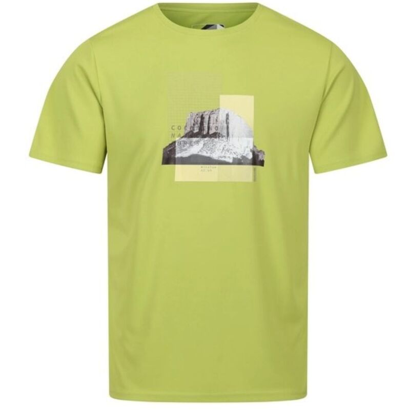 Camiseta Estampada Regata Fingal Vii
