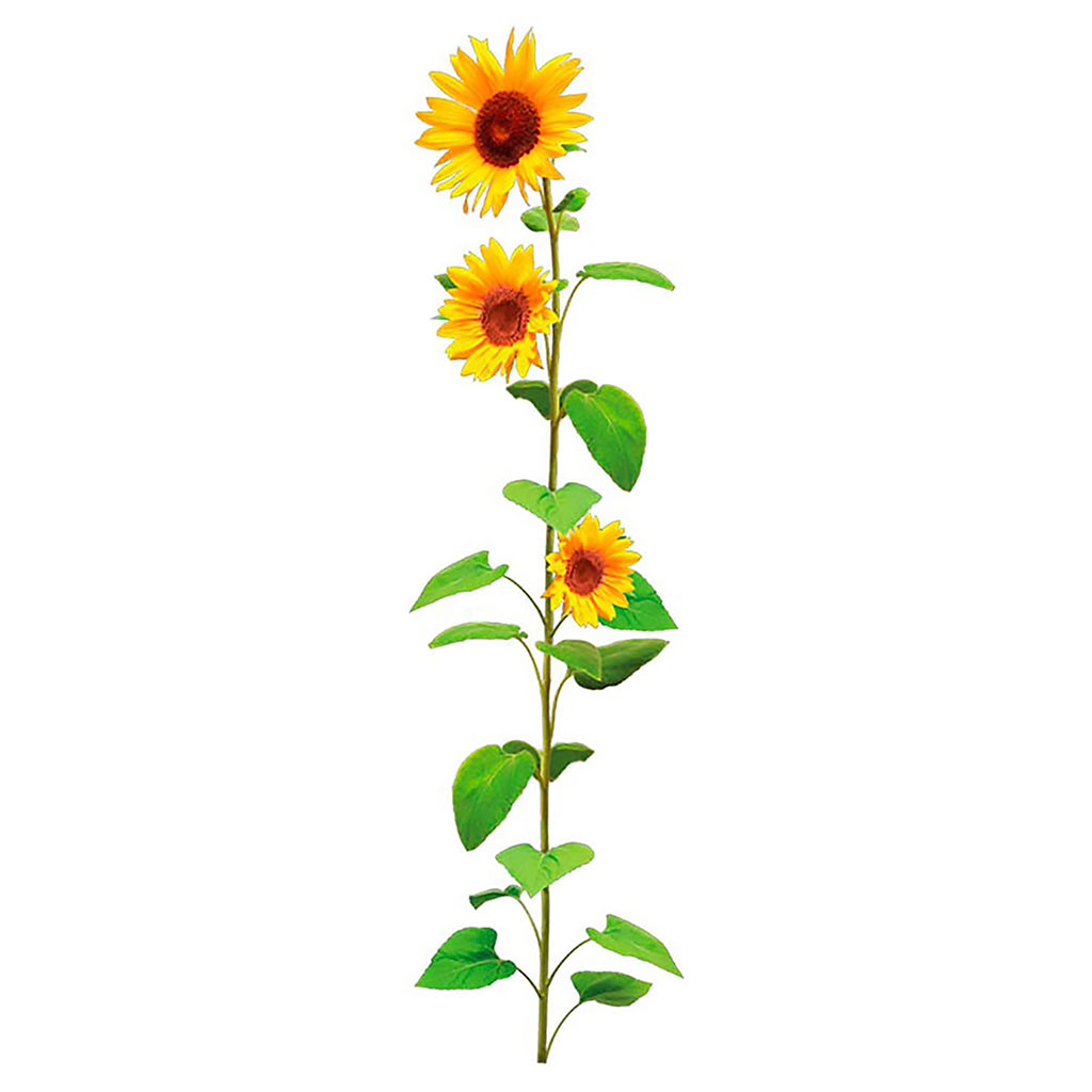 Sticker mural déco tournesol 70x20cm
