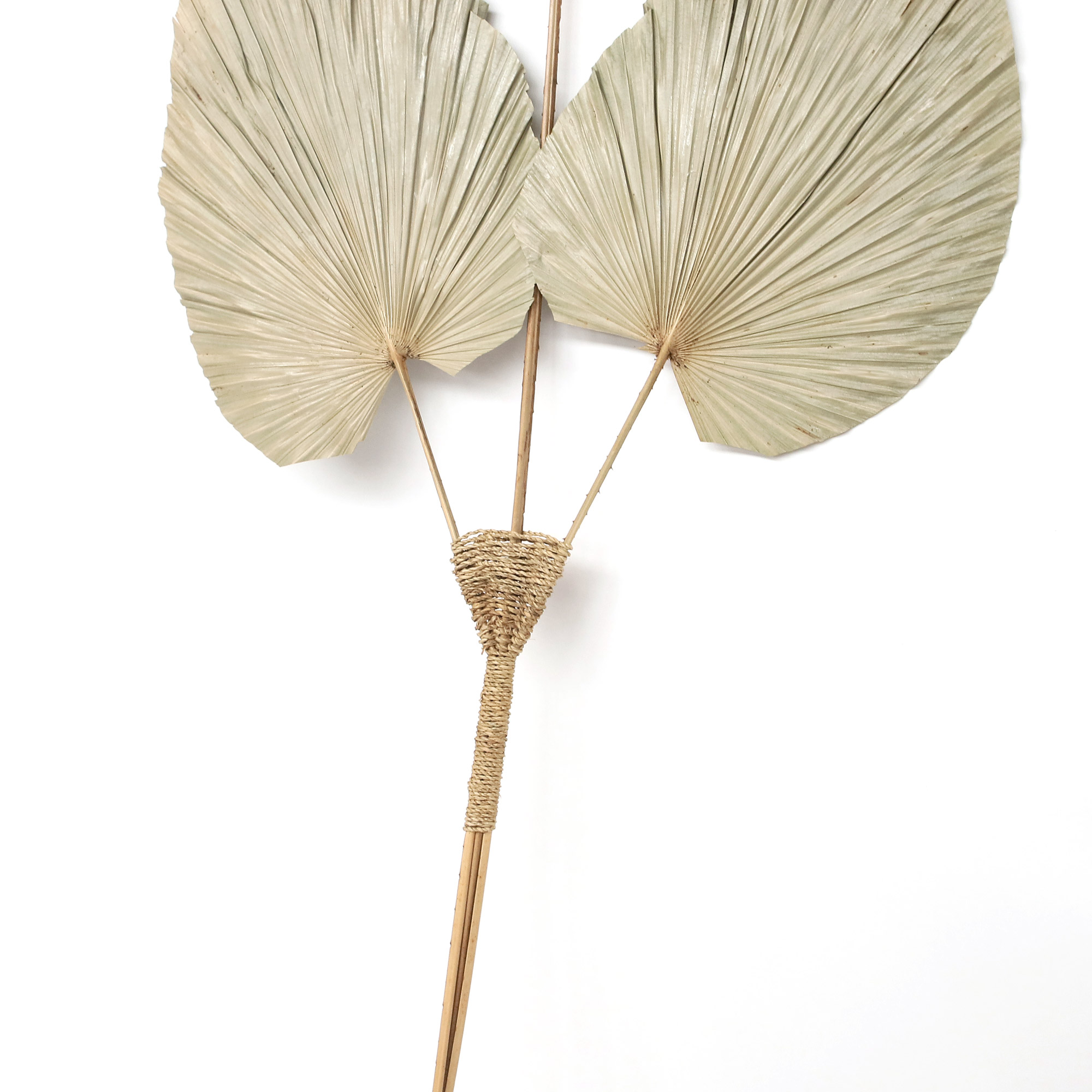 Palmenblatt-Trio, natur, H 120 cm, B 55 cm von fischer's lagerhaus