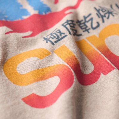 Tee-shirt à manches courtes homme Cl Great Outdoors Graphic SUPERDRY