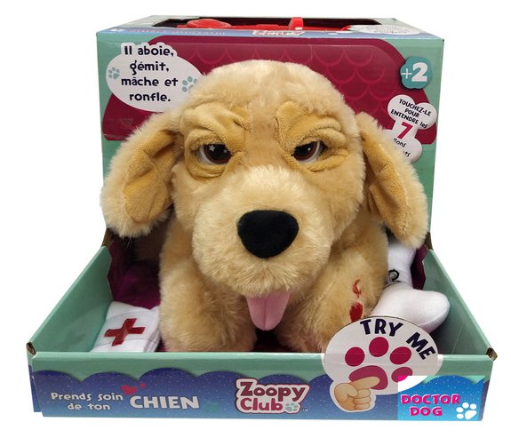 Doctor Dog