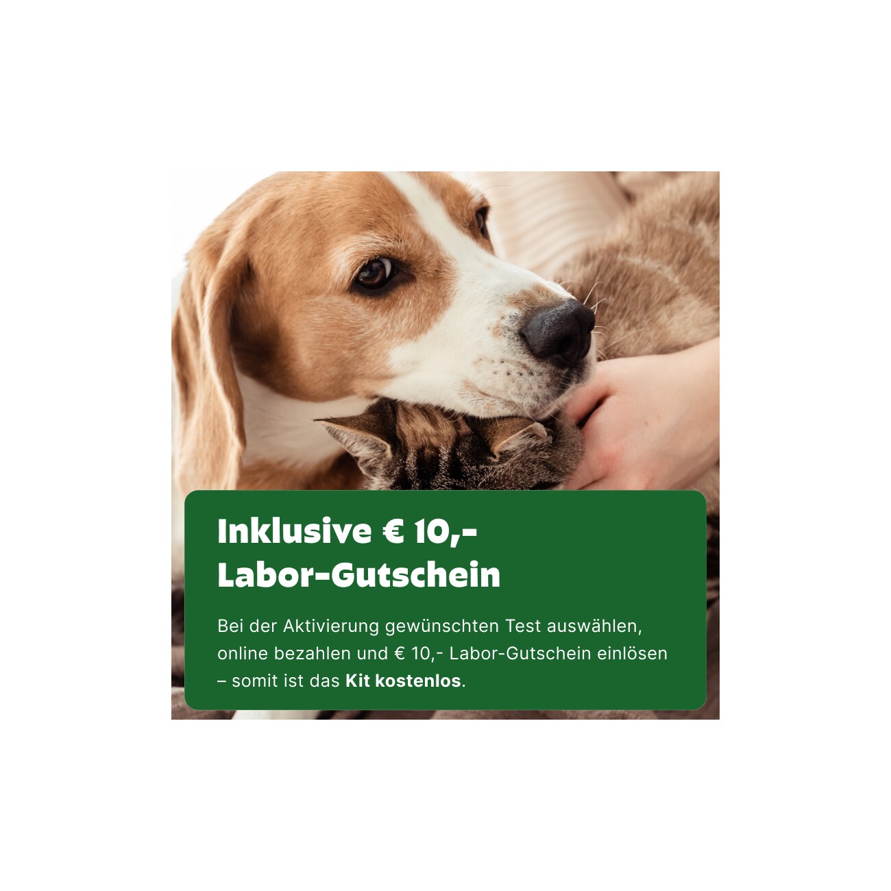 Pezz Life Labor Test Kit - All-in-One Gesundheitstest für zuhause