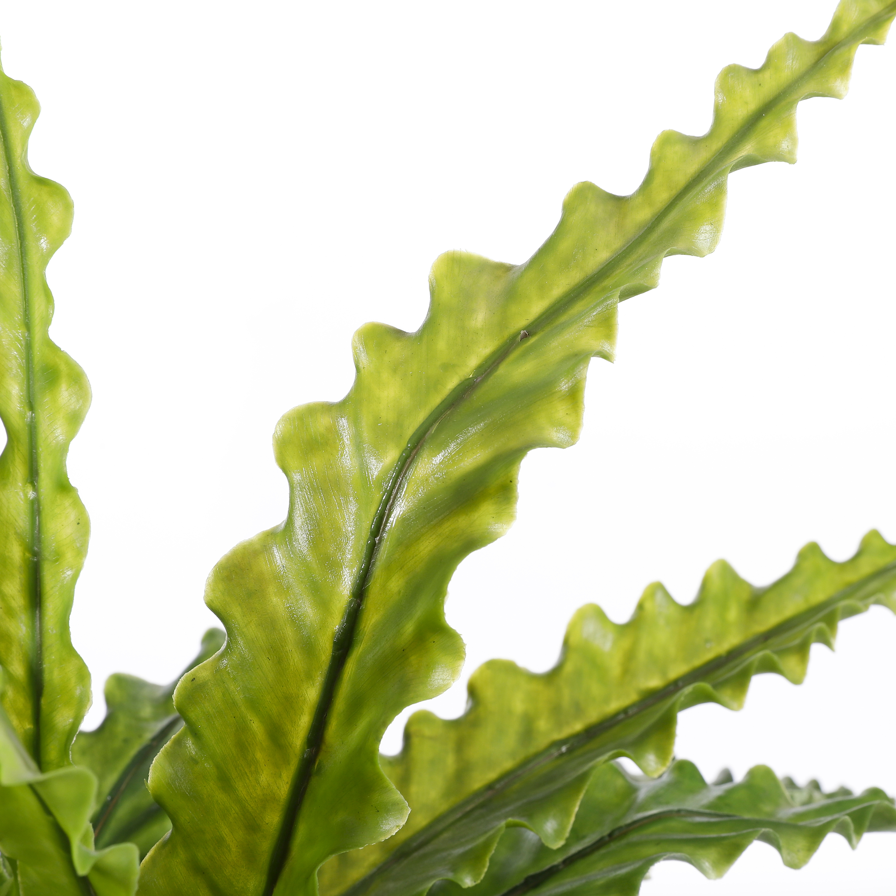 Mica decorations - asplenium artificielle en pot h50