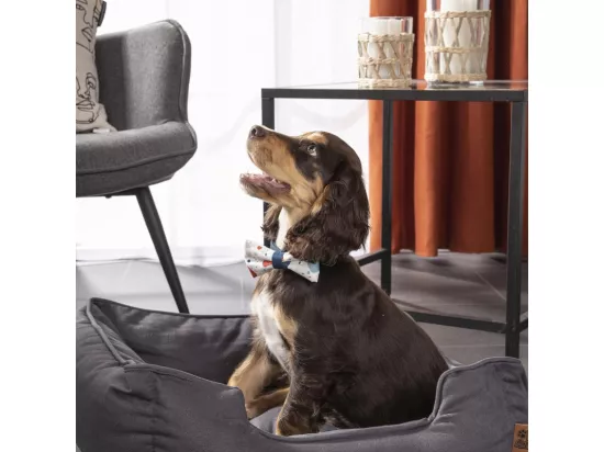 Panier Rectangle pour animaux 
