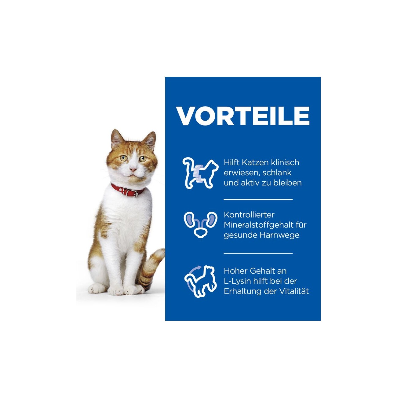 Hill's Science Plan Young Adult Sterilised mit Huhn 12x85g