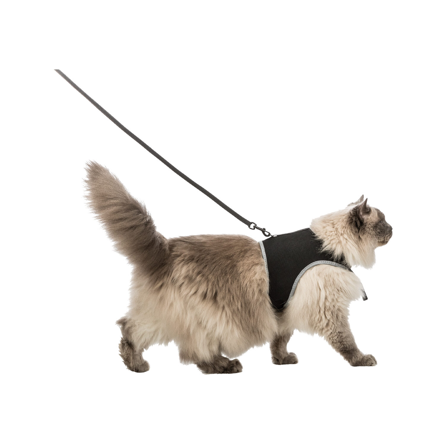 Trixie Soft-Tuig met Riem
