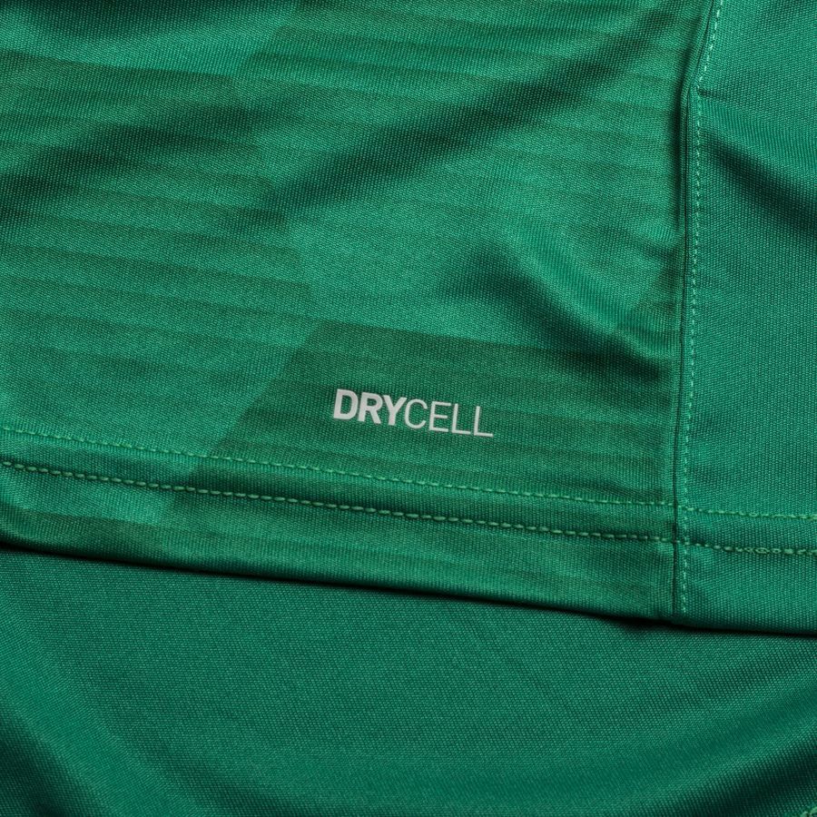PUMA Maillot teamFINAL 21 Graphic - Vert/Vert