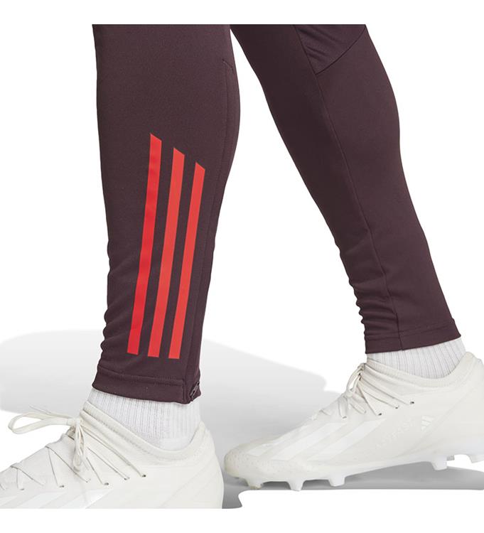 adidas Men FC Bayern Muchen Trainingsbroek 2024/2025