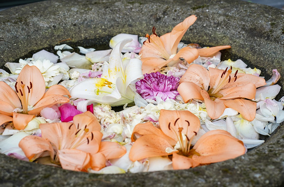Hawaiianische Massage Bad Soden am Taunus