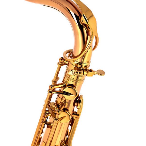Thomann Custom Line Bronze TLBBZG