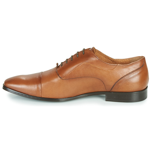 Carlington - NIMIO - Camel