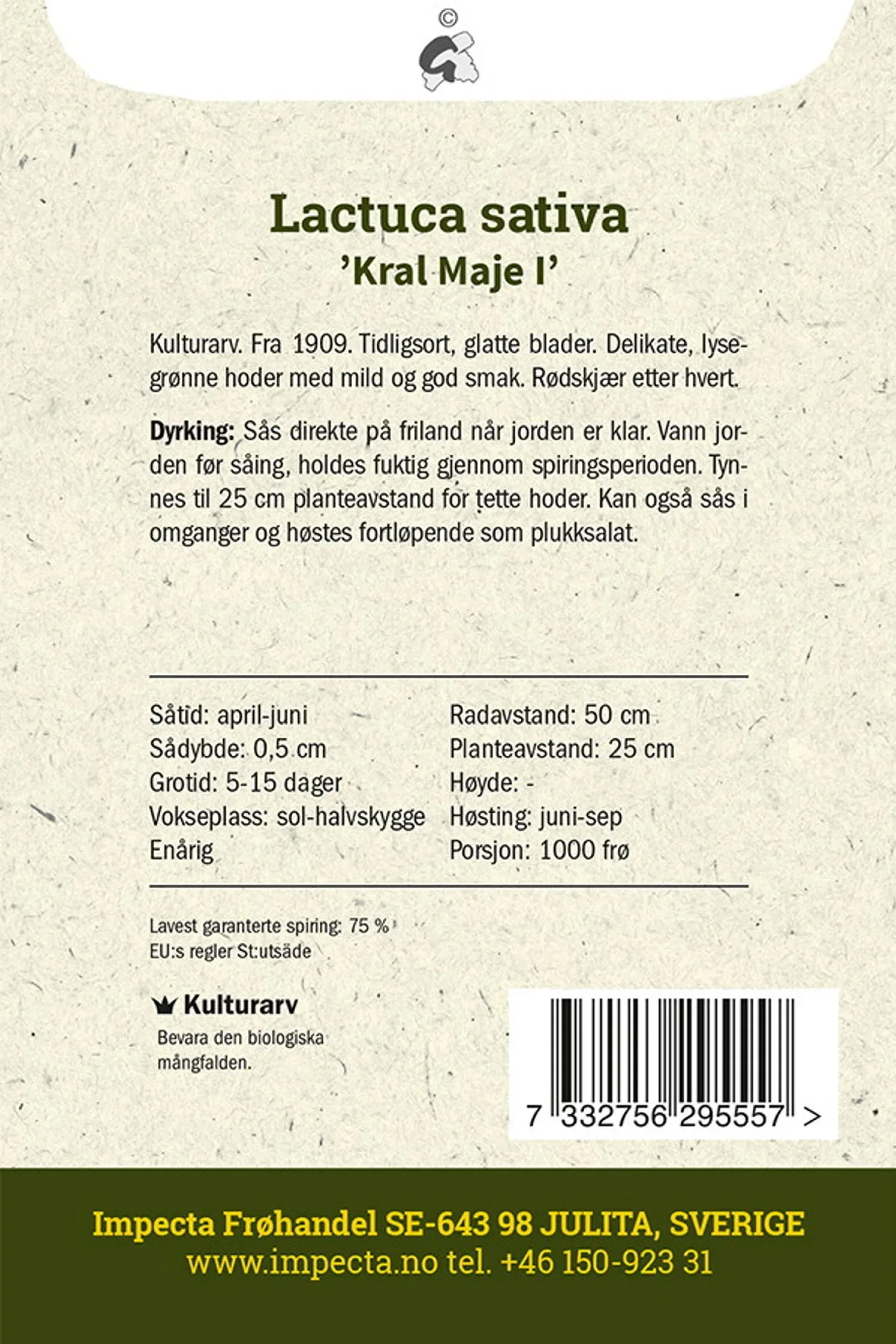 Lactuca sativa 'Kral Maje I' Hodesalat 'Kral maje'
