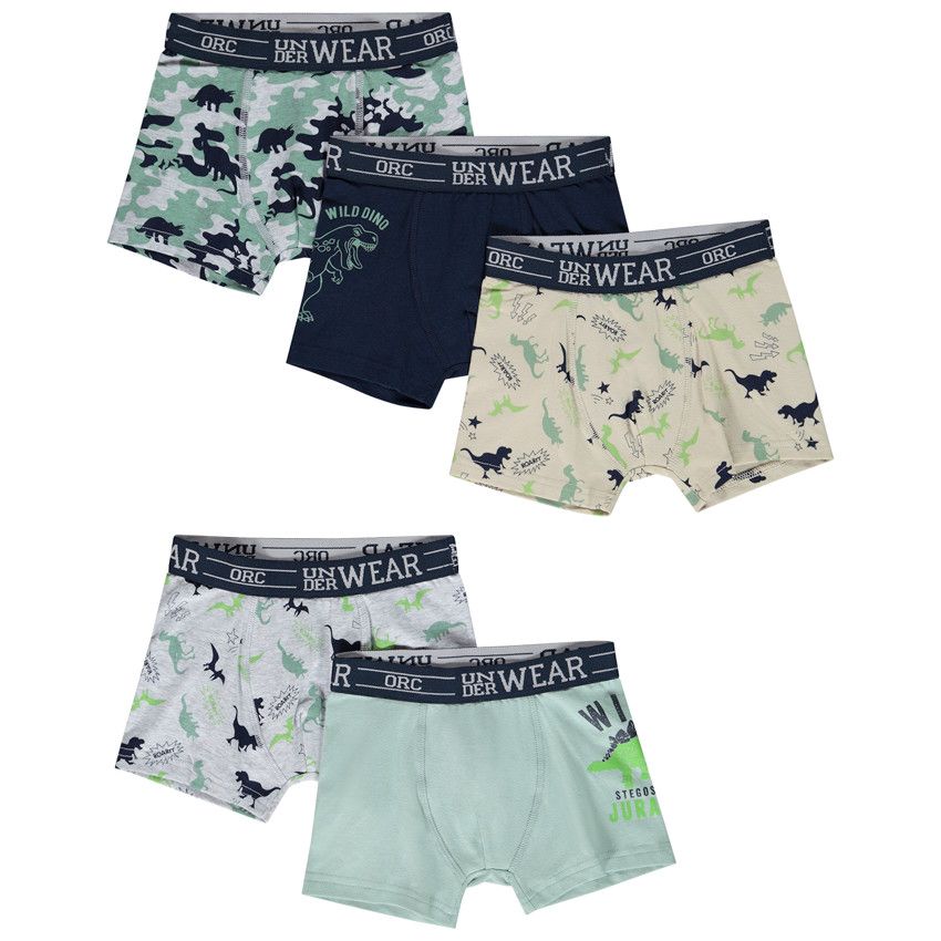 Lot de 5 boxers motifs Wild Dinos pour garçon - Gris chiné