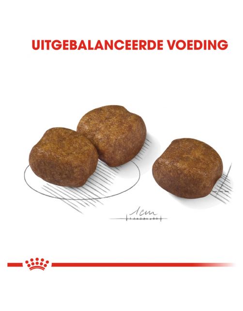 Royal Canin Dental Care Maxi - Hondenvoer
