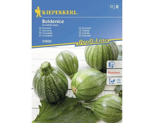 Zucchini Boldenice, F1 Kiepenkerl Hybrid Seed Vegetable Seeds