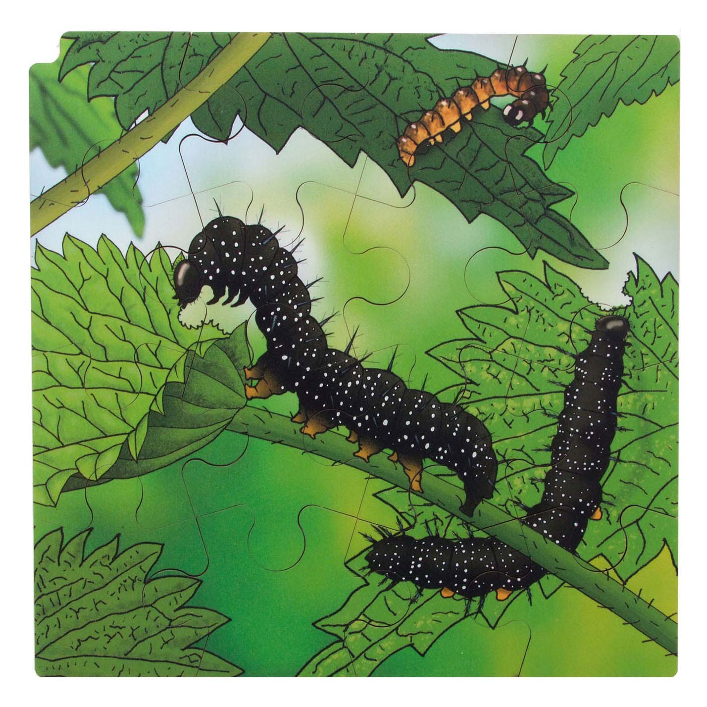 Rolf Connect - Groei en 4 Lagenpuzzel Hout Vlinder, 86st.