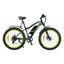 E-fatbike 26