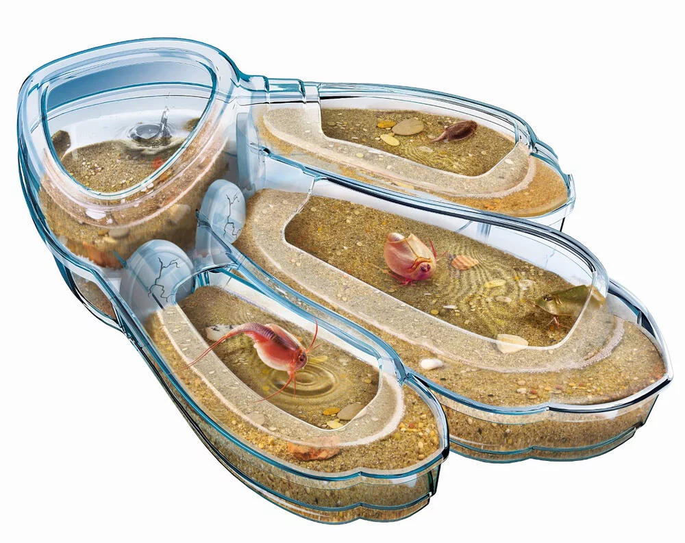 SCIENCE ET JEU - TRIOPS LES ANIMAUX PREHISTORIQUES