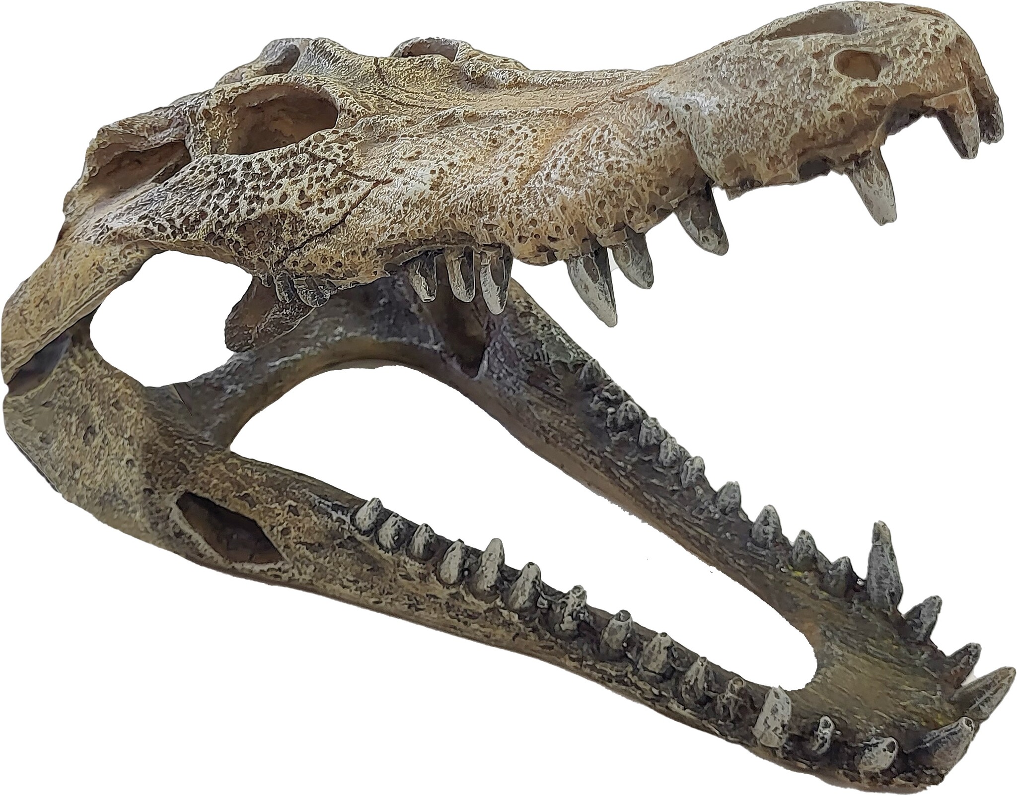 Repto Terrarium Deco Crocodile Schuilplaats L