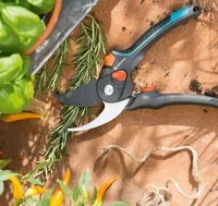 Gardena Beskjæringssaks