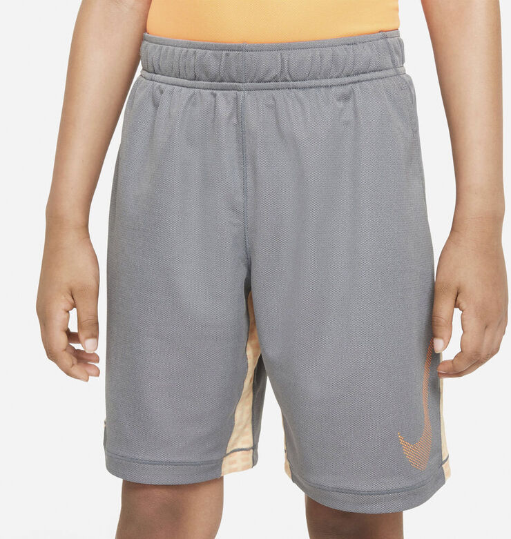 Nike Dri Fit Shorts Grå
