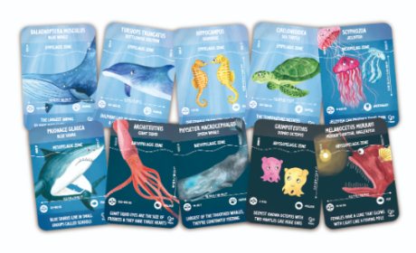 Glow In The Dark Ocean Life Puzzle