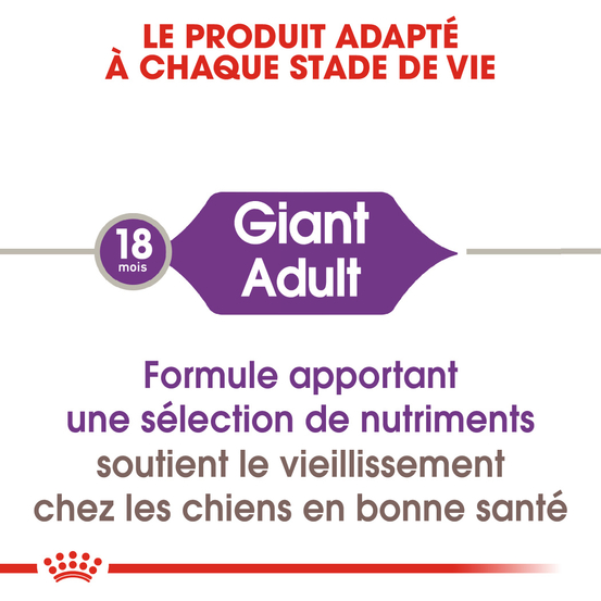 Croquettes chien de taille géante giant Adult 15kg