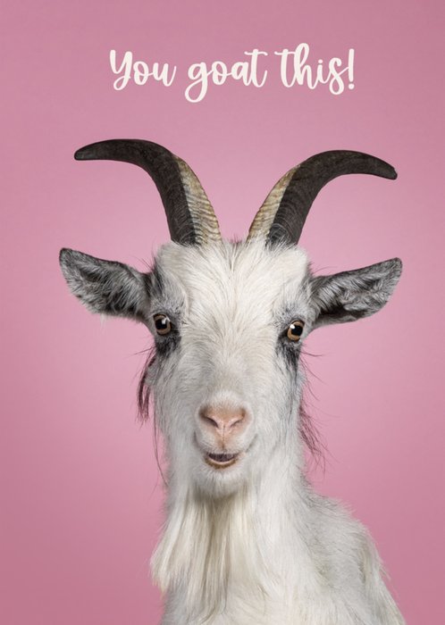Catchy Images | Succeskaart | You goat this! | Grappig