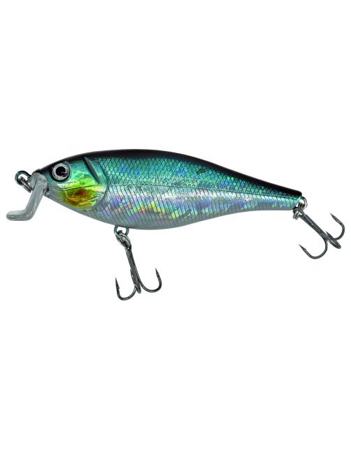 Albatros Catch21 Bastard - Pluggen - 10 cm 22 g Kleur: C6