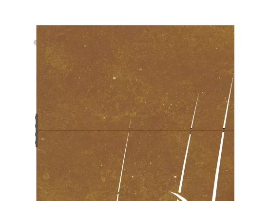 Portail de jardin 85x175 cm acier corten conception d'herbe