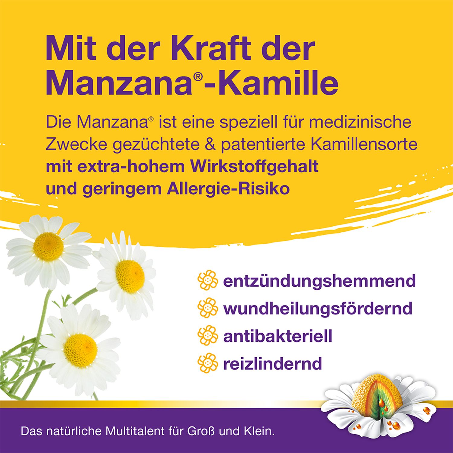 Kamillosan® Mund- und Rachenspray